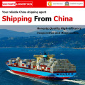 Sea Freight/Logistics Shipping From China to Worldwide